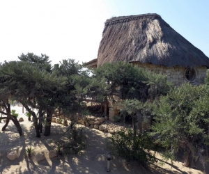 Bungalow  familial
